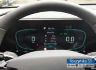 Kia Niro 1.6 GDI HEV 129 KM 6DCT|wersja L + BCW|Cityscape Green|MY25