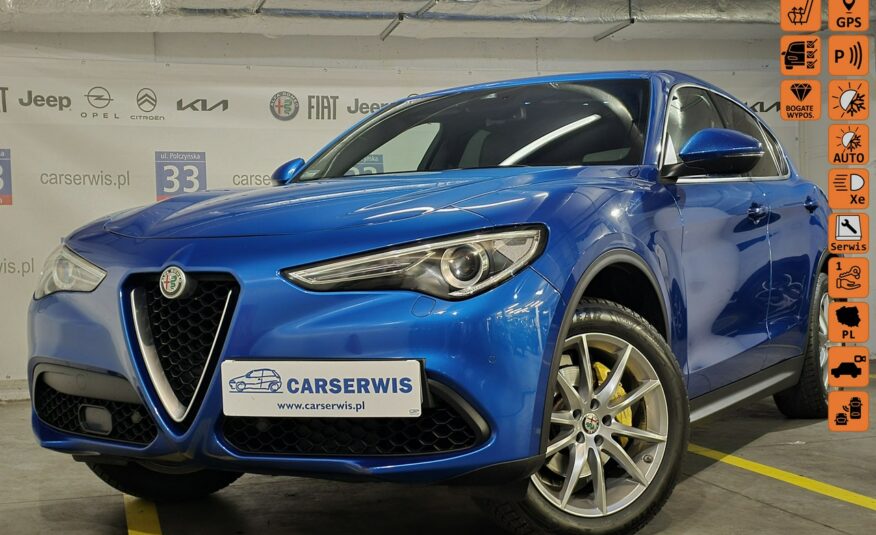 Alfa Romeo Stelvio Salon Polska, Serwis, 1-wszy Użytkownik