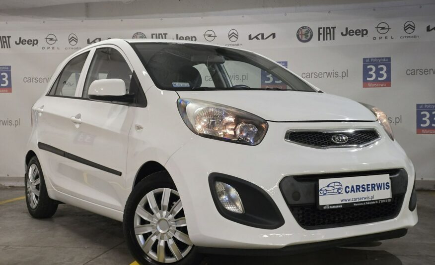 Kia Picanto Kia Picanto Salon Polska