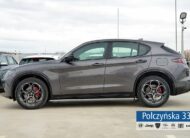 Alfa Romeo Stelvio Veloce Q4 AT 2.0 280 KM|Vesuvio Grey |Pak Techno/ Ele. bagażnik|2024