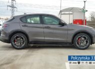 Alfa Romeo Stelvio Veloce Q4 AT 2.0 280 KM|Vesuvio Grey |Pak Techno/ Ele. bagażnik|2024