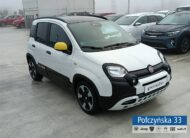 Fiat Panda 1,0 Hybrid 70 KM  |Pandina |dwukolorowy |biały / czarny dach