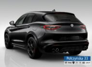 Alfa Romeo Stelvio Quadrifoglio  2.9 V6 520 KM AT8 Q4|Vulcano Black| Techno|MY24